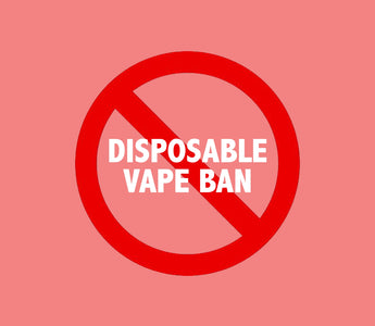 Disposable Vape Ban
